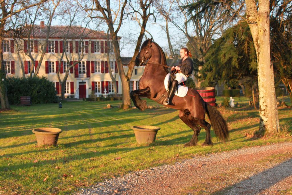 Le Relais Du Silence Chateau Lavail Labastide-dʼAnjou Buitenkant foto